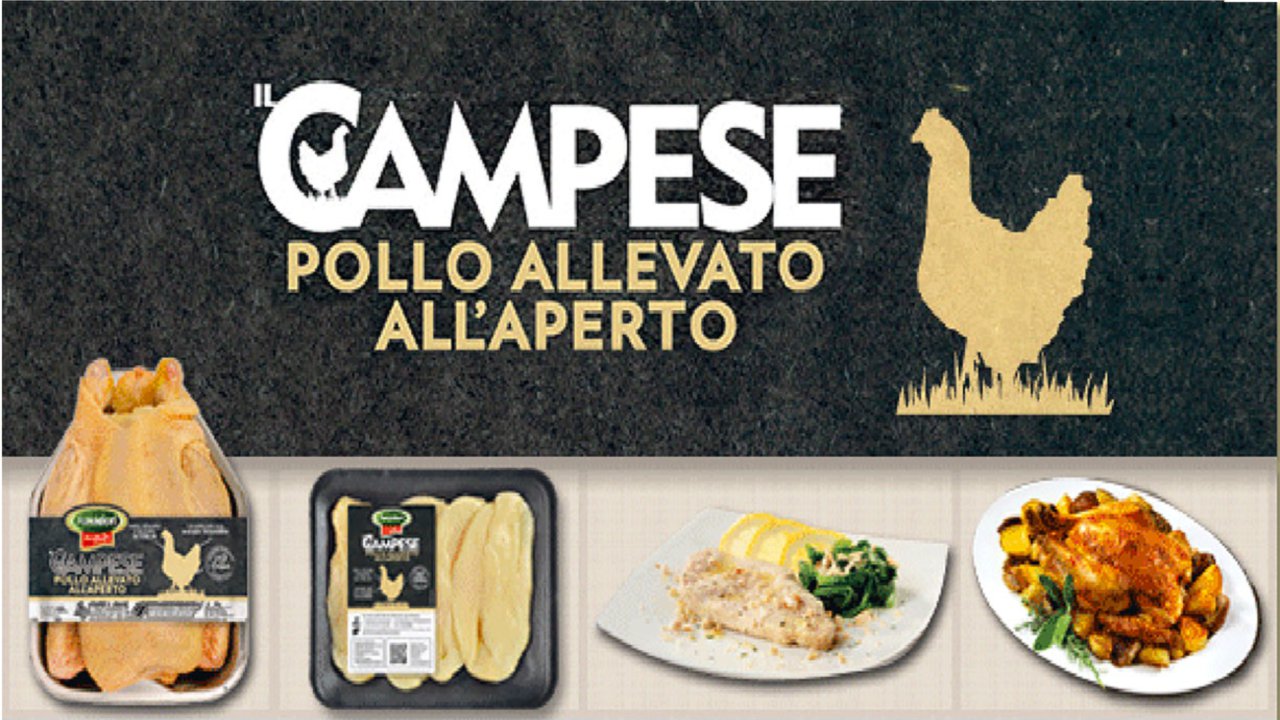 Pollo Campese Amadori